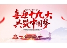十九大期间烟花爆竹安全生产工作的通知：实行烟花爆竹生产企业分步停产休整
