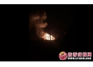 蒲城一花炮公司突发爆炸 目前只有一人逃生