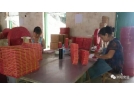 381家烟花爆竹生产企业复工，浏阳把好“安全关”！
