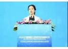 湖南浏阳：做好“加减法” 提质升级烟花产业