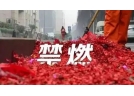全国多地禁放烟花爆竹 部分企业将业务重心转国外